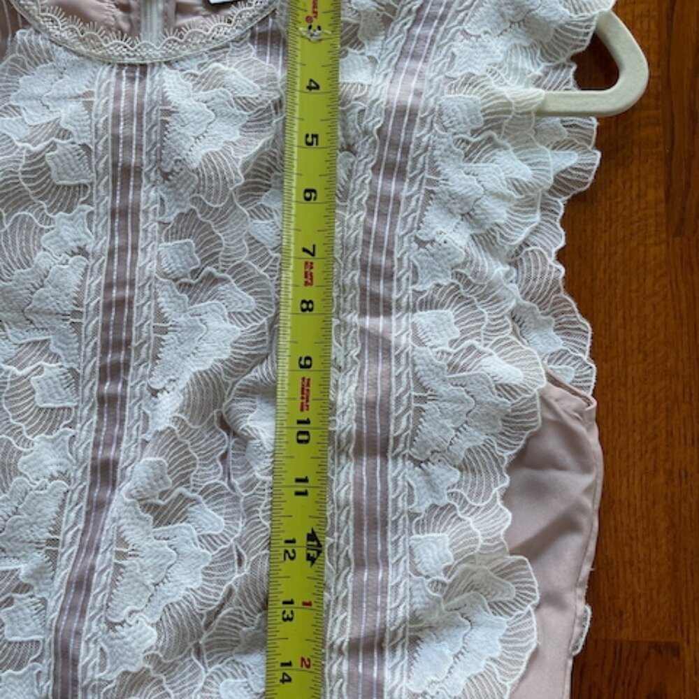 Reiss Sally lace bodice dress in mocha, US Size 8, excellent condition - Picture 2 of 6